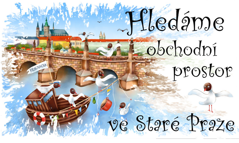 Hledáme